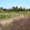 김선식농장 이미지