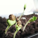 시립장현호반써밋어린이집 이미지