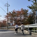 카페다래 - 평창군 평창중앙로 28 | 카페다래