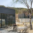 노커포레스트