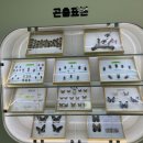 부평구 비타민길 네이버블로그