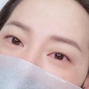 더디자인선 이미지