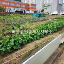 순천팔마고등학교 이미지