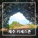 구름따라 그곳에가면 | 제주 키세스존 포토존 후기 소요시간 도두봉 주차 TIP