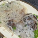 만남실내포장마차 - 동구 송림로 66 | 만남실내포장마차