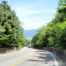 관설초등학교 이미지