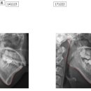 행복한문화공동체연치과의원 이미지