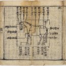 중원목장 | 수의사 이전에 마의