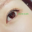 순수아미 이미지