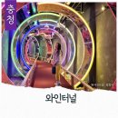 충북 영동 실내 가볼만한곳 와인터널 입장료 할인 레인보우힐링관광지 데이트