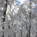 눈꽃회관 이미지