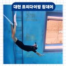 원데이 | 대전 프리다이빙 알프스다이빙 원데이 배우기 후기