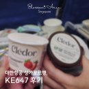 647 | 싱가포르행 대한항공 KE647 후기, 밤비행기 기내식과 좌석 정보 나만의 꿀팁까지