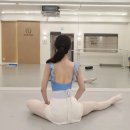 [발레복후기]포르르 날아오를 것만 같은 요정같은 성인발레복! 발레슈슈 라라랜드 레오타드