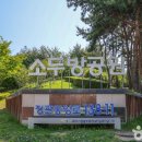 정관체육시설 축구장 이미지