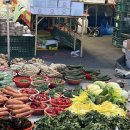 새벽시장 | 대구 달성공원 일요일 새벽시장 가격후기 (장보기 팁! / 먹거리 간식 / 주차단속)