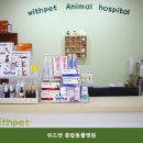 위드펫종합동물병원 네이버블로그