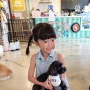 으르렁애견카페 이미지