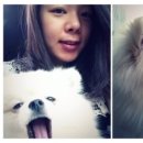 수아동물병원 이미지