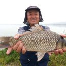 연일초등학교 이미지