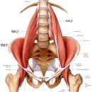 준바디