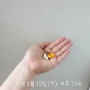 쉑쉑점핑다이어트 | 단백질쉐이크다이어트 1일차 식단조절은 허벌라이프 추천! (실제 후기)