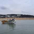 인천의 갯벌 이야기 이미지