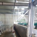 기영목장 이미지