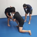 알파레슬링 이미지