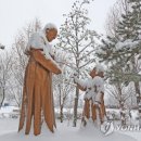 솔뫼성지 소나무 이미지
