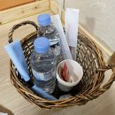 대경로 소나무 | 경주 한옥 숙소 :: 춘추관 화백제A 숙박 후기