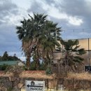 남원읍사무소 | 제주도게스트하우스 제주게토 1,2차 파티 후기