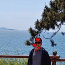 수성각 Daum카페