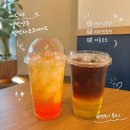 코코에스프레소 | 이디야 신메뉴 얼박사코코에이드 얼박샷추 후기