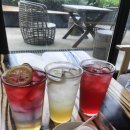 하동도서관 | 경남 하동 화개장터 근처 십리벚꽃길 카페 차 박물관 쌍계명차 본점