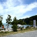 바보형제쭈꾸미(일산점) | 울산 동구 일산해수욕장 점심 맛집 바보형제 쭈꾸미 울산일산점