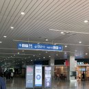 세화사료 | [일산] 2026 메가주 시즌1 2일차 오픈런 후기 | 주차 무료 꿀팁