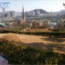 회성동161 이미지