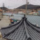 유창민박 이미지