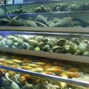 구울래찔래 - 용인시 기흥구 동백5로 21-8 | 구울래찔래