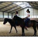 대관령 사파리 목장 이미지