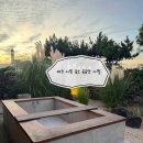 용수펜션 | 제주 서쪽 숙소 한경면 프라이빗 독채 가성비 자쿠지 펜션 공공연 사월