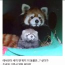 (주)블루지앤씨 | 1월 둘째주