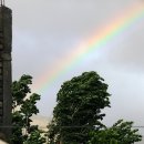 무지개가 피어나는 이미지