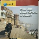 UNIT 4. Why Are Cows Special In India? 이미지