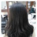 한스헤어 이미지