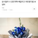 지역구 국회의원에게 검언개혁 해달라고 파란 꽃다발 선물한 삼시💙 이미지