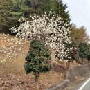 매정보건진료소 이미지