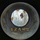 춘운서옥 | 춘운서옥 여기뭐야.. 보성에 이런 곳이 있을 줄이야