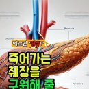 췌장에 좋은 음식 3가지 이미지